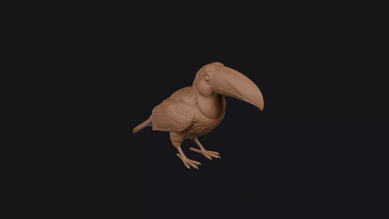 Toucan 3D print model
