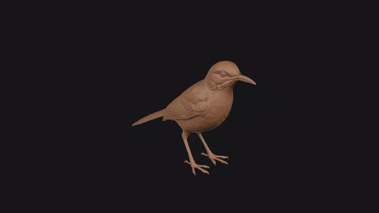 Thrasher Bird 3D print model