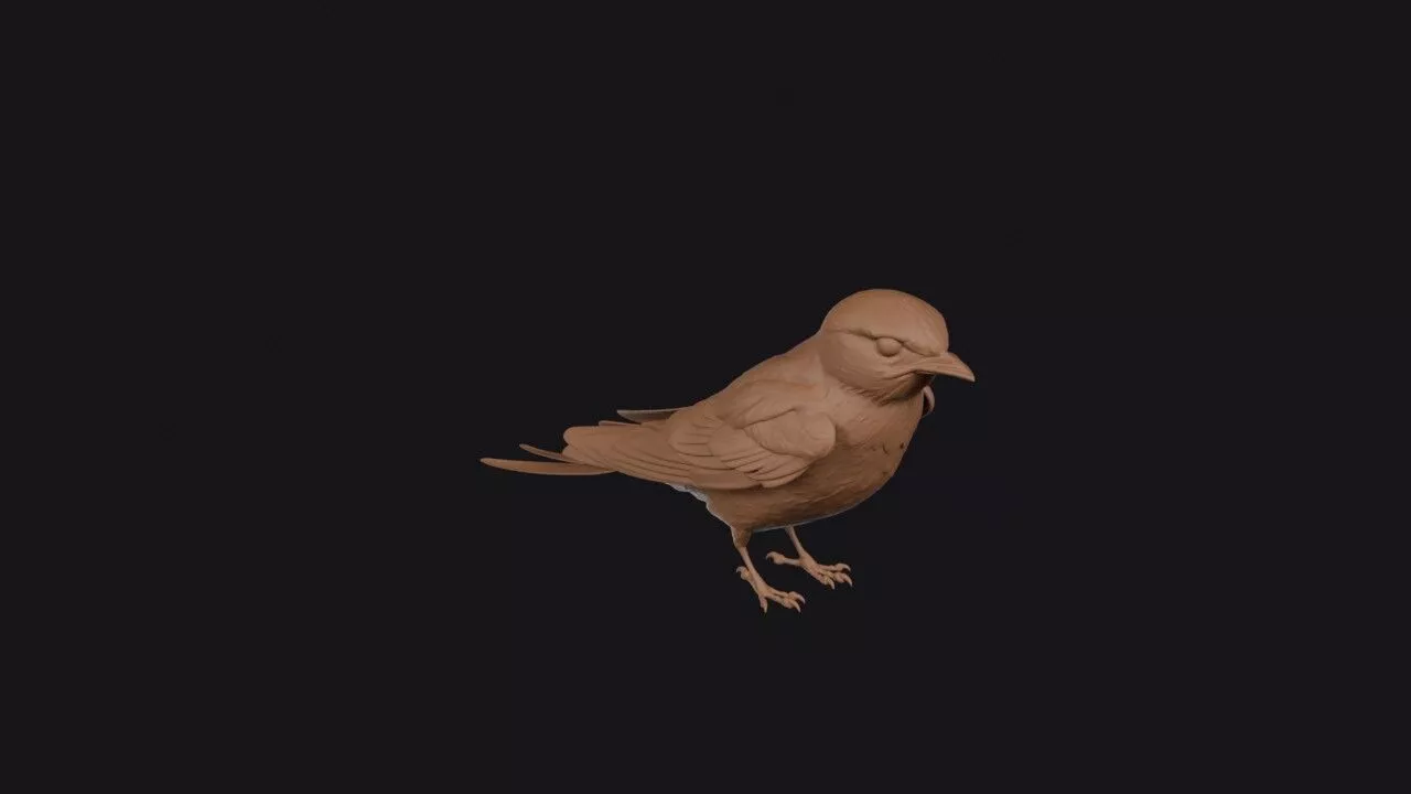 Swallow Bird 3D print model