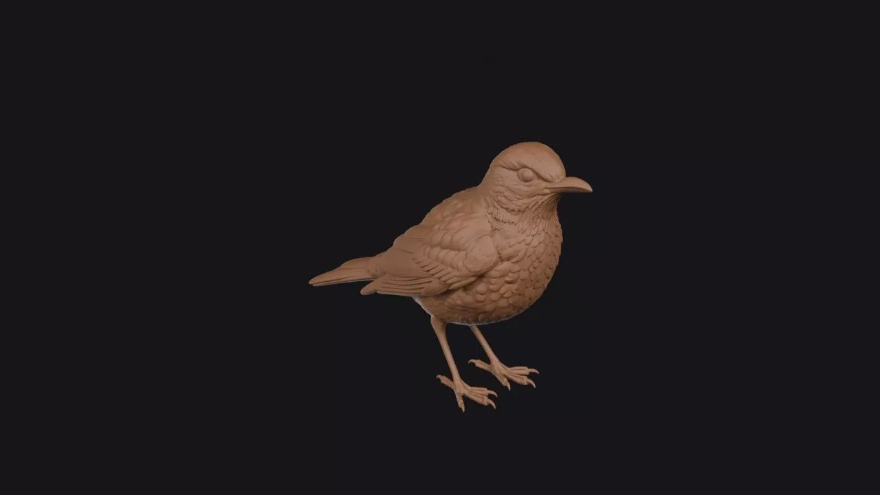 Song Thrush 3D print model