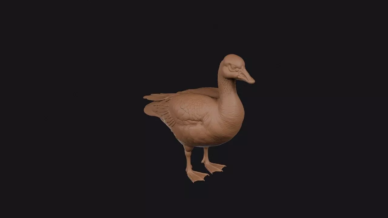 Snow Goose 3D print model
