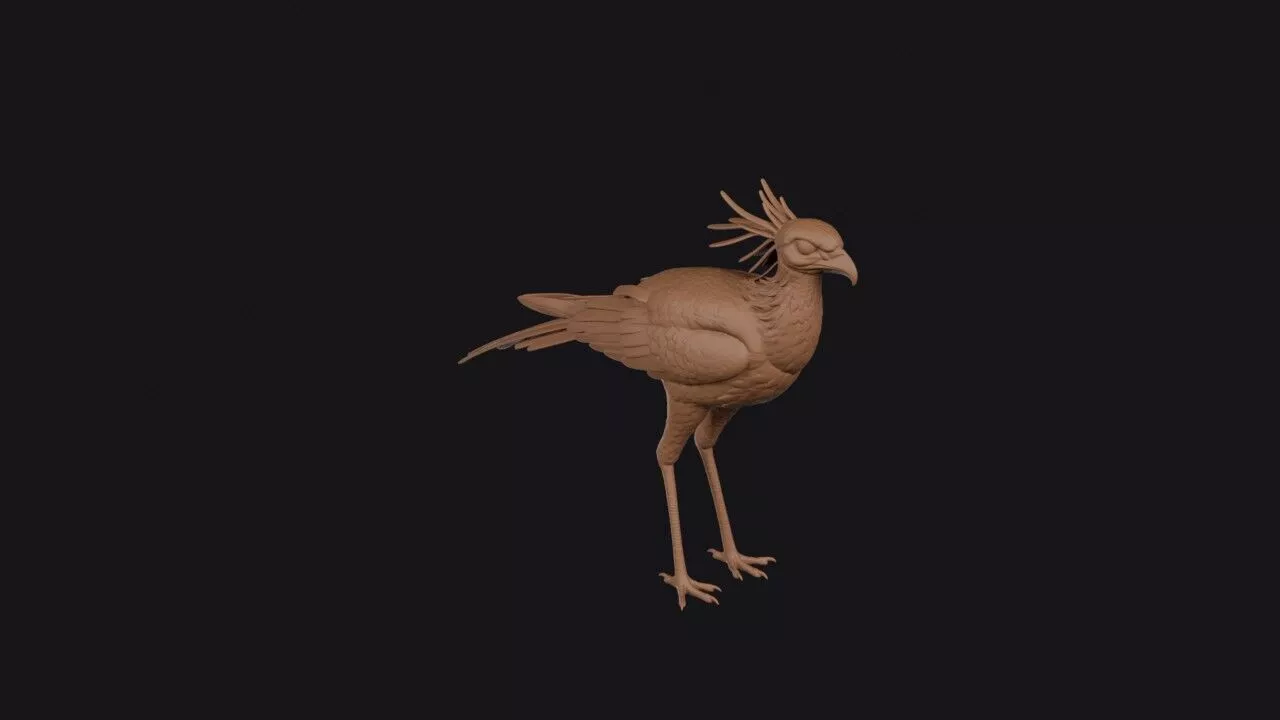 Secretary Bird 3D print model