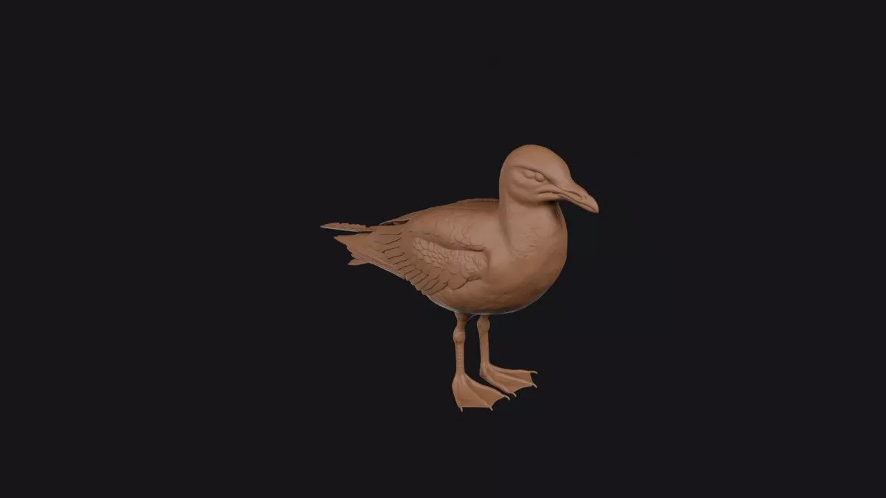 Seagull 3D print model