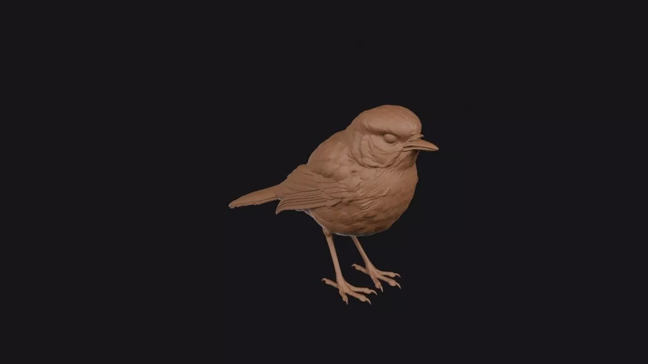 Robin Bird 3D print model