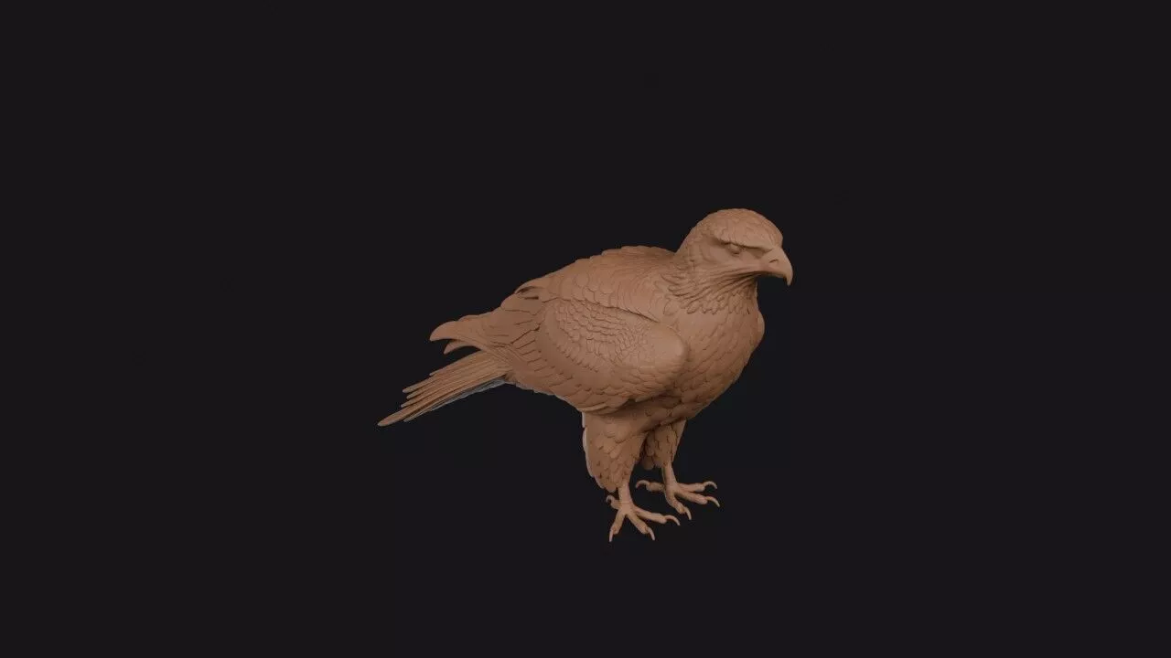 Red Kite Bird 3D print model
