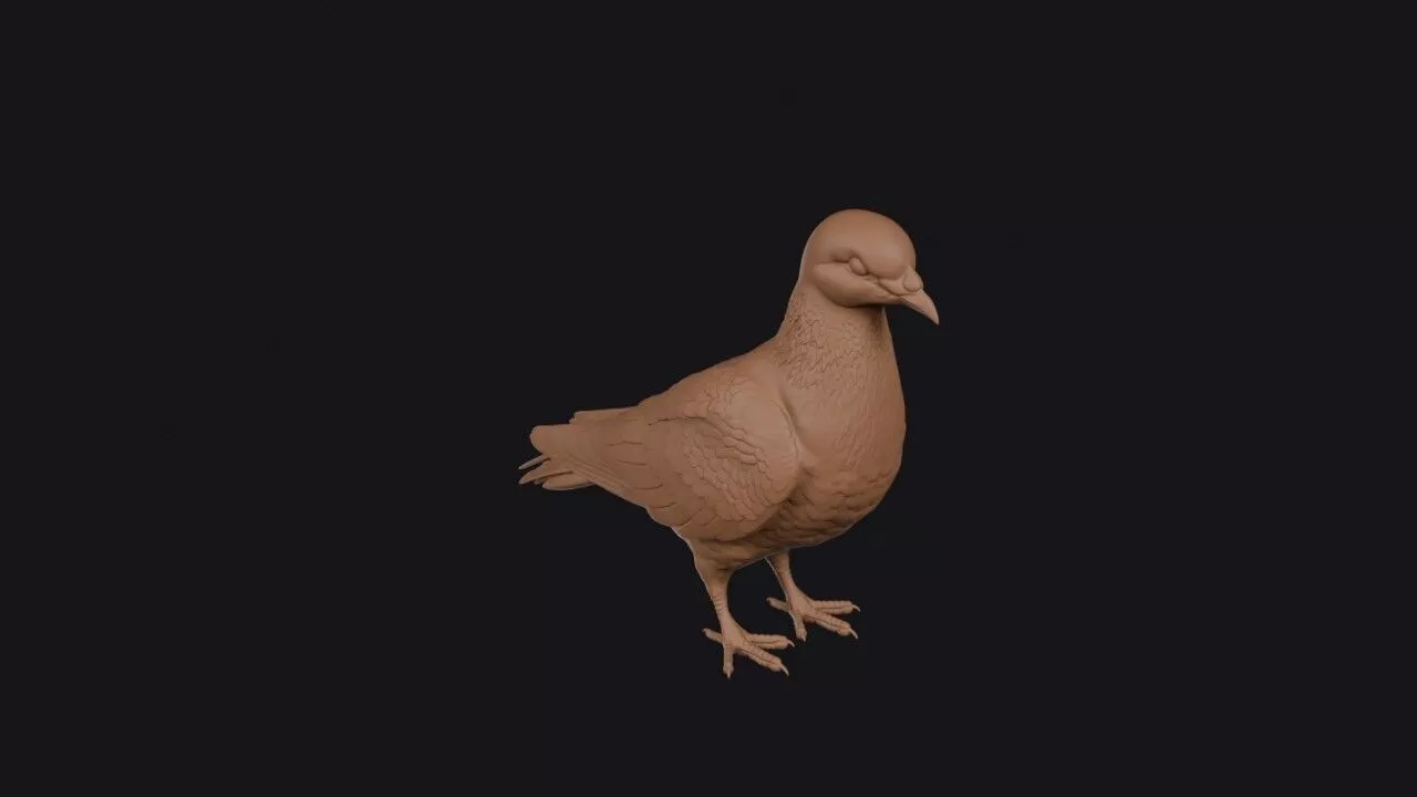 Pigeon 3D print model
