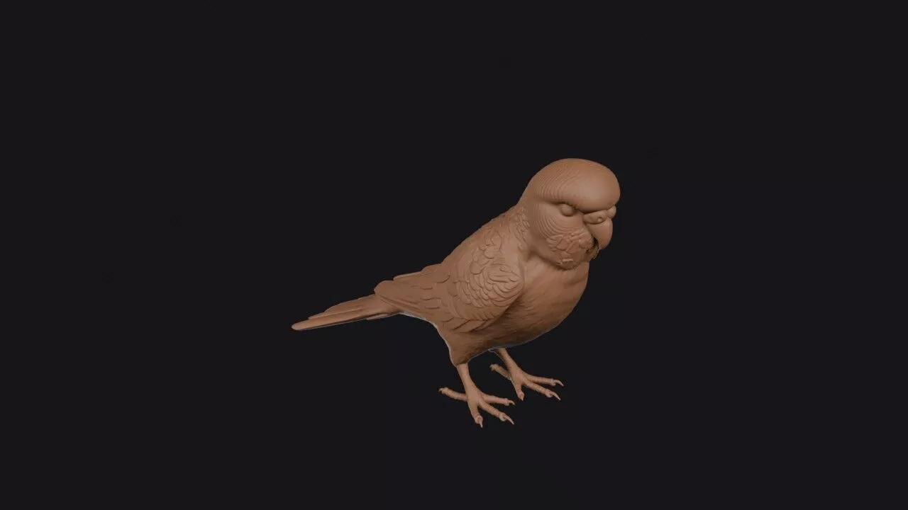 Parakeet 3D print model