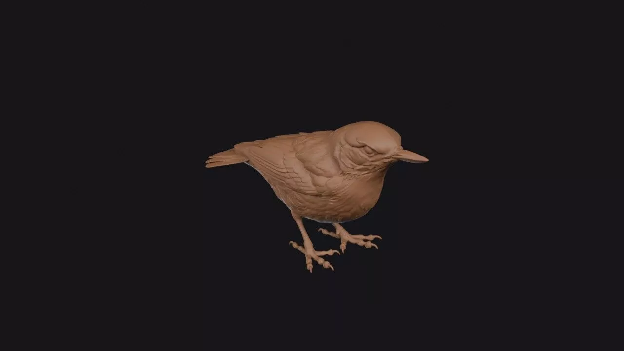 Nuthatch 3D print model