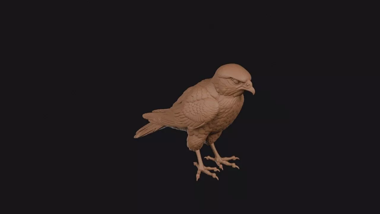 Merlin Bird 3D print model