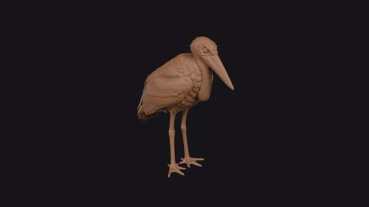 Marabou Stork 3D print model