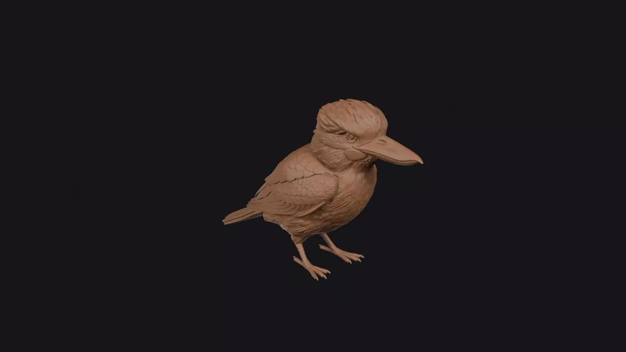Kookaburra 3D print model