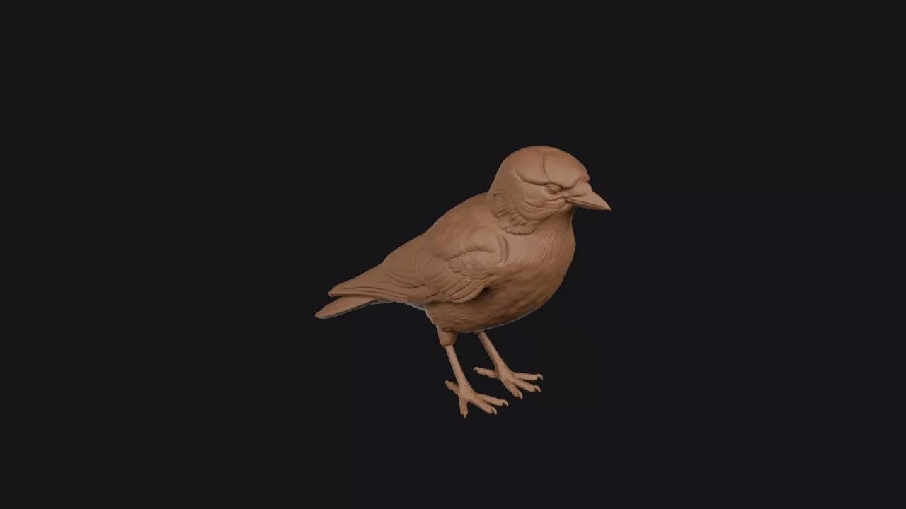 Jackdaw 3D print model