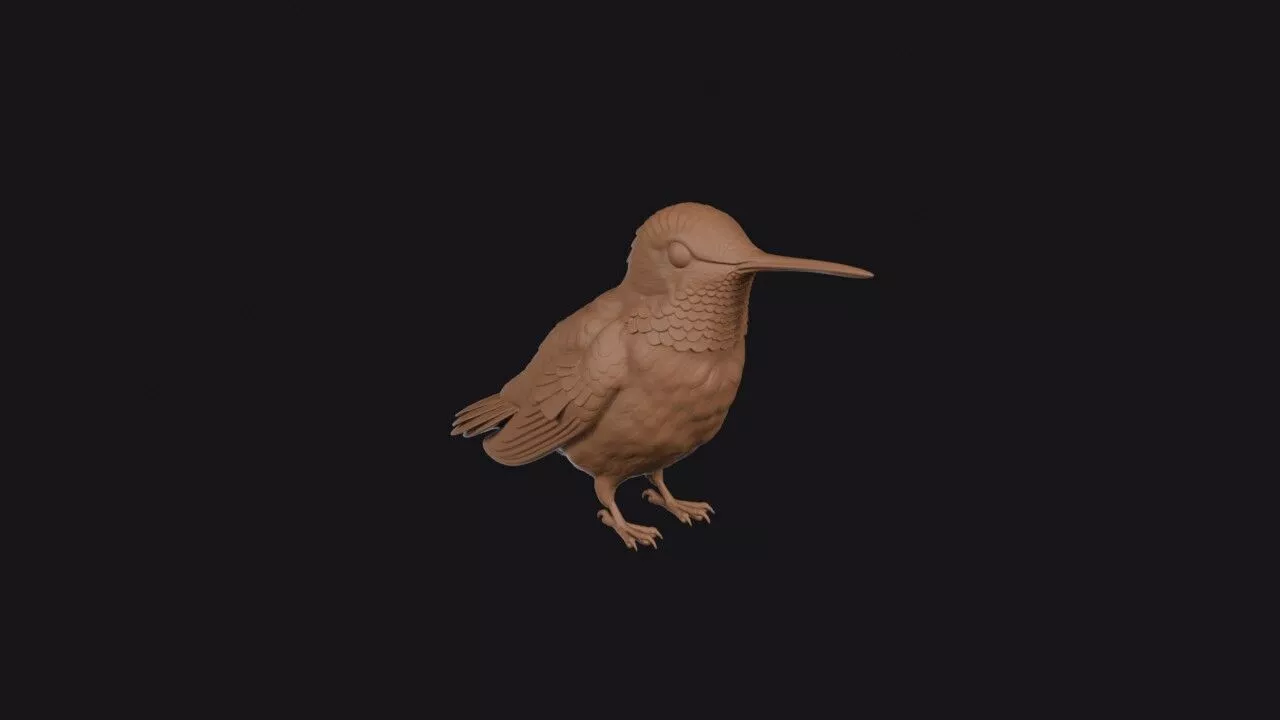 Hummingbird 3D print model