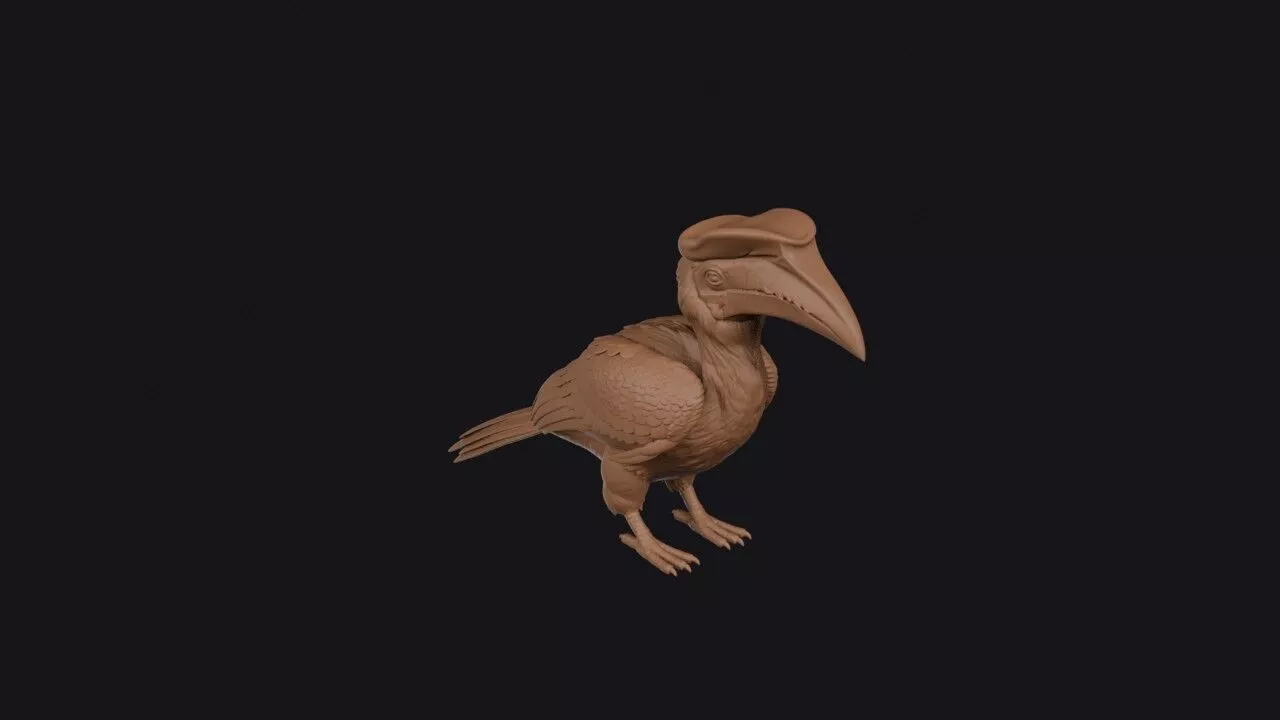 Hornbill 3D print model