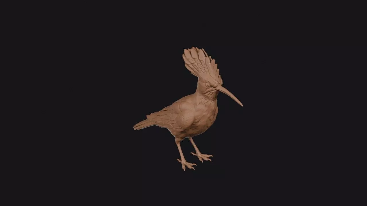 Hoopoe 3D print model