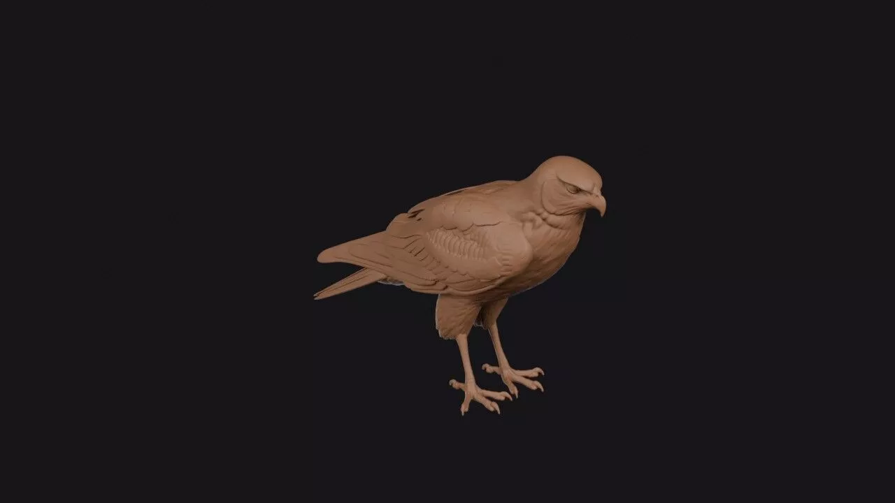Harrier Bird 3D print model