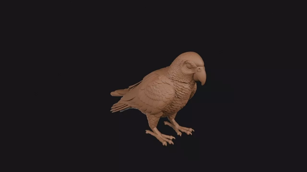 Grey Parrot 3D print model