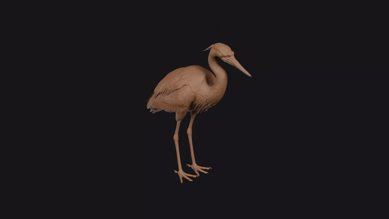 Great Blue Heron 3D print model