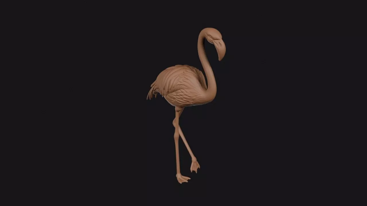 Greater Flamingo 3D print model