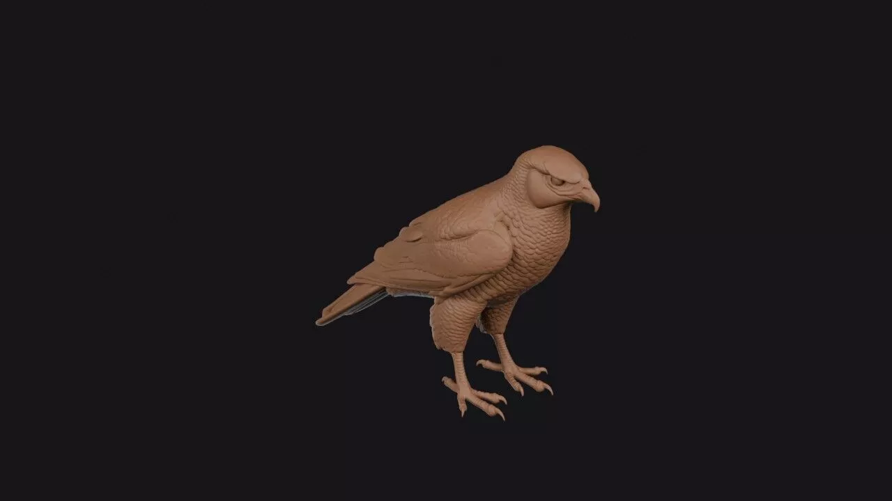 Goshawk 3D print model
