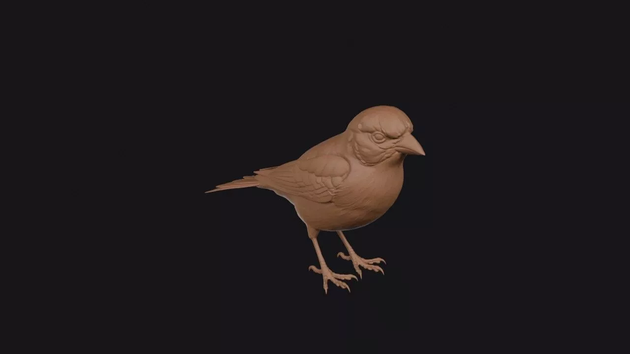 Goldfinch 3D print model
