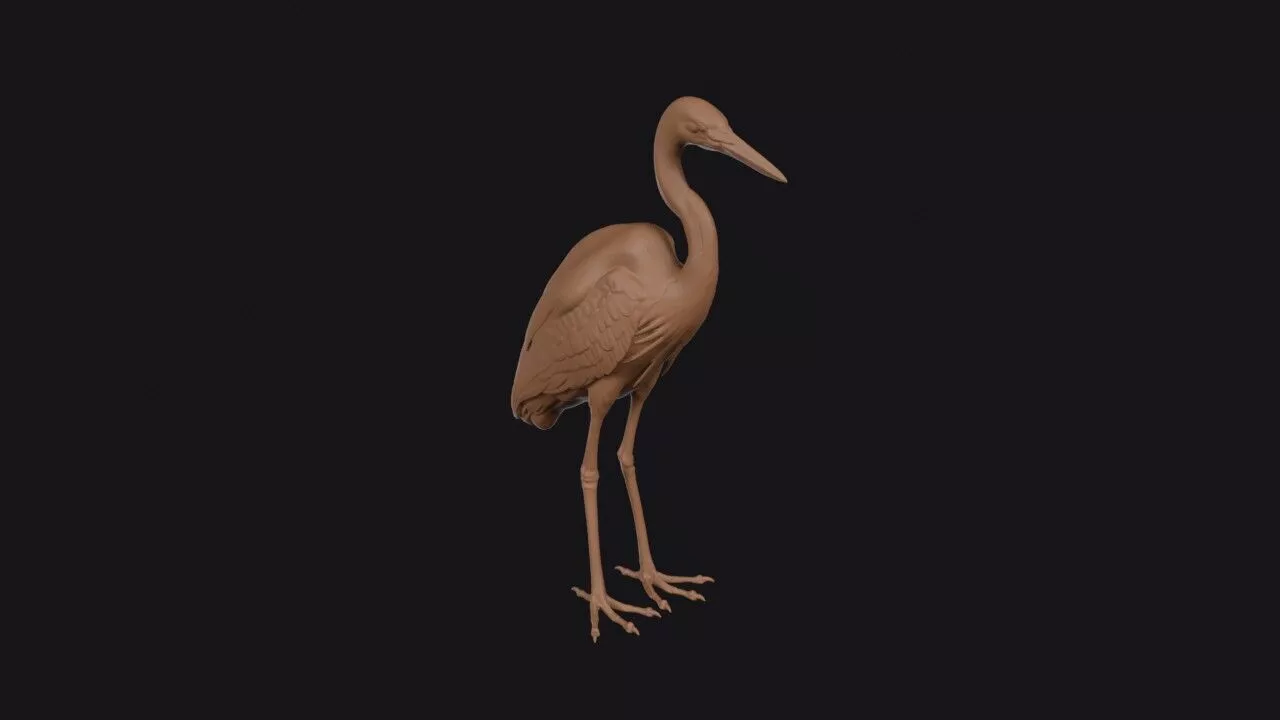 Egret 3D print model