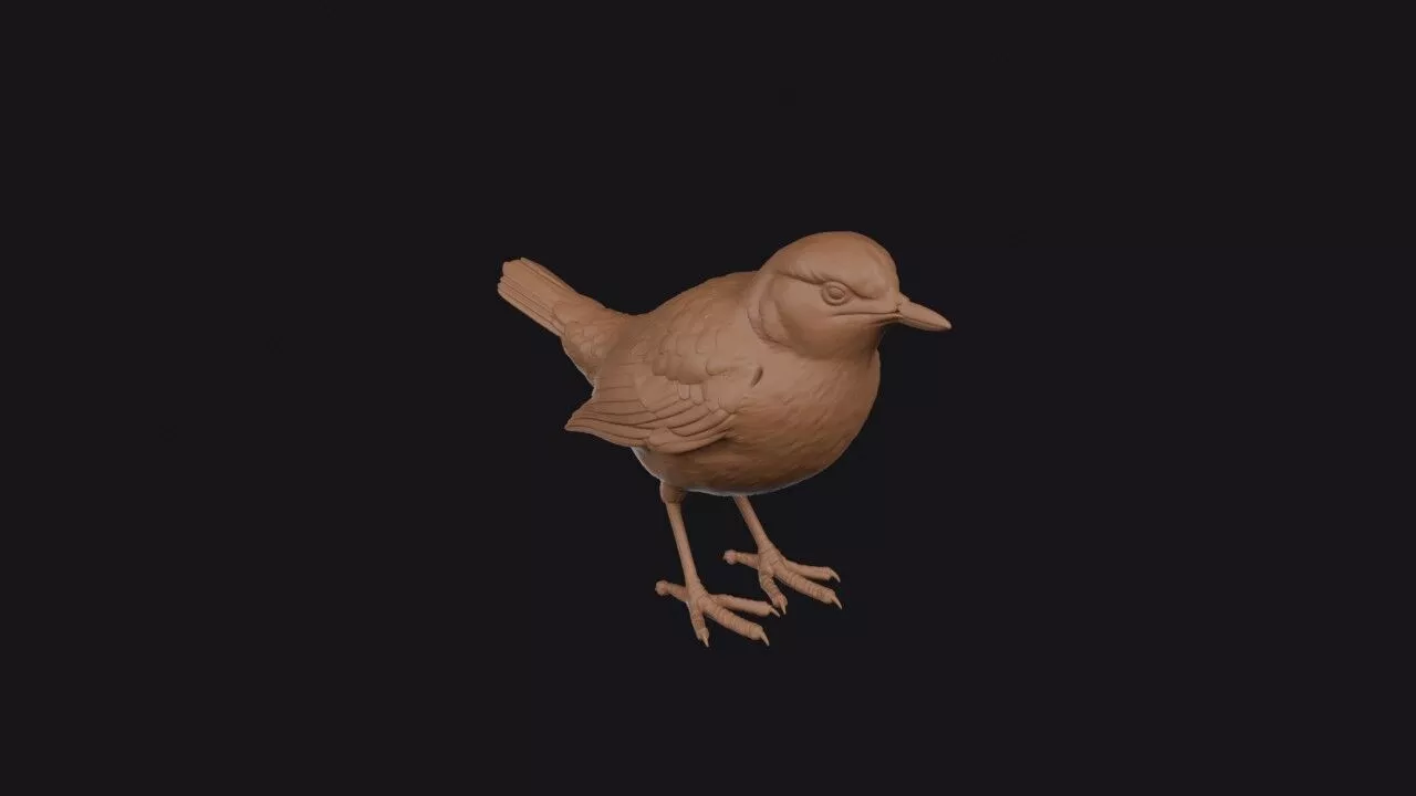 Dipper Bird 3D print model