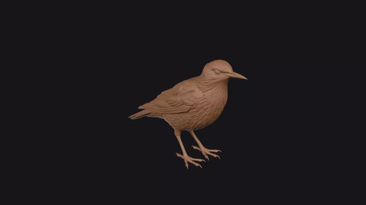 Common Starling 3D print model
