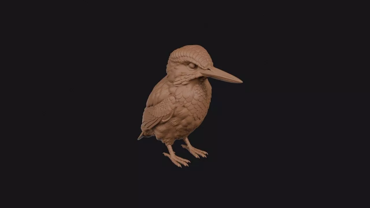 Common Kingfisher 3D print model