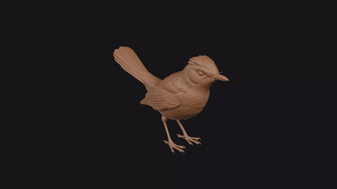 Catbird 3D print model