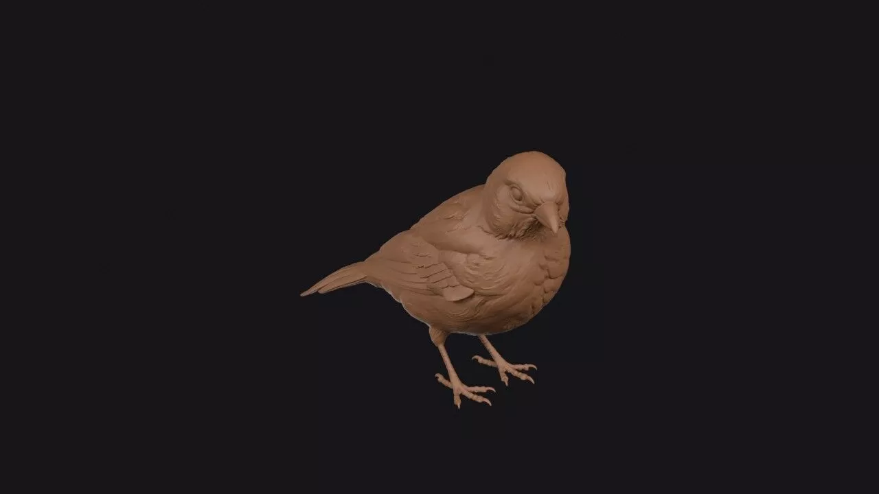 Canary 3D print model