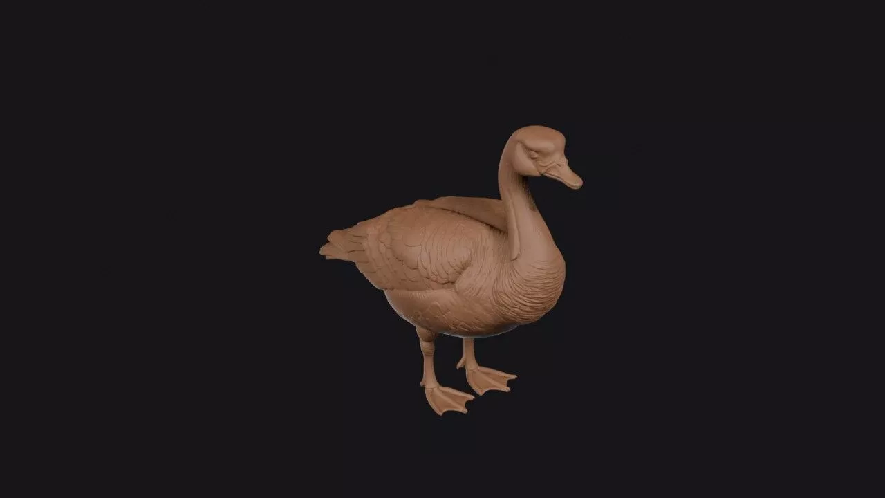 Canada Goose 3D print model