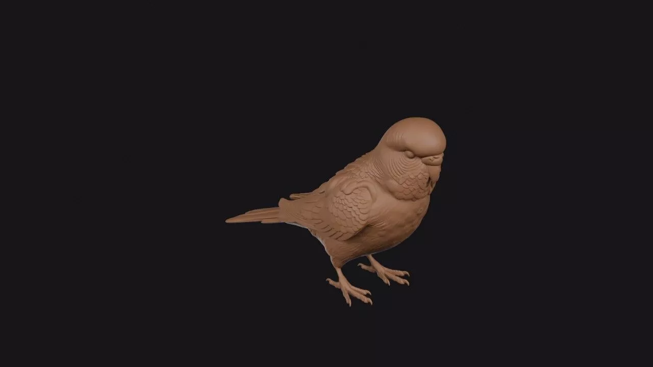 Budgerigar 3D print model