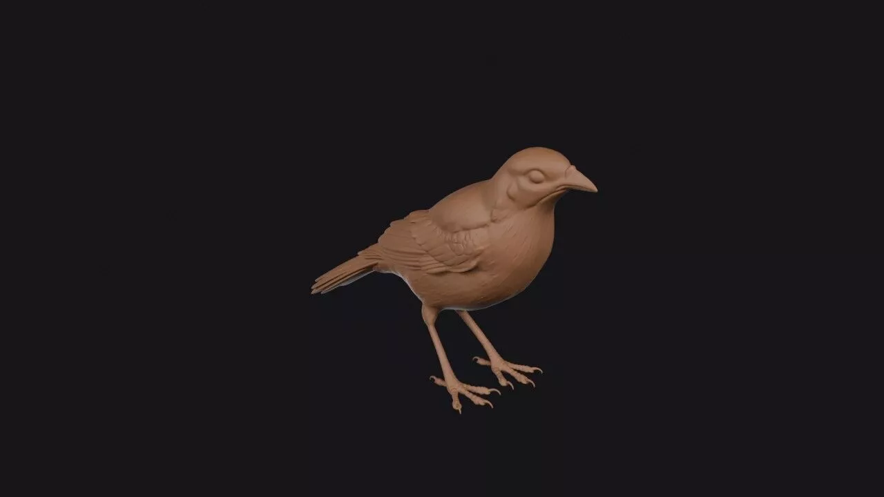 Bowerbird 3D print model