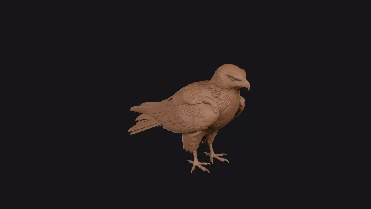 Black Kite Bird 3D print model