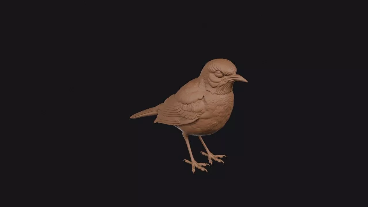 American Robin 3D print model