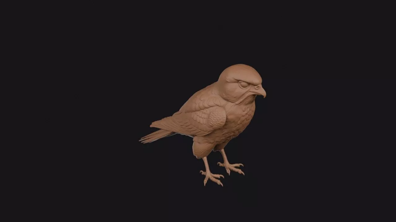American Kestrel 3D print model