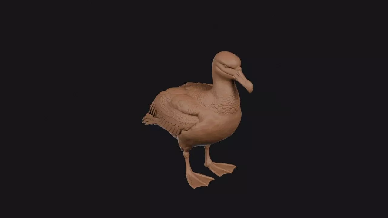 Albatross 3D print model