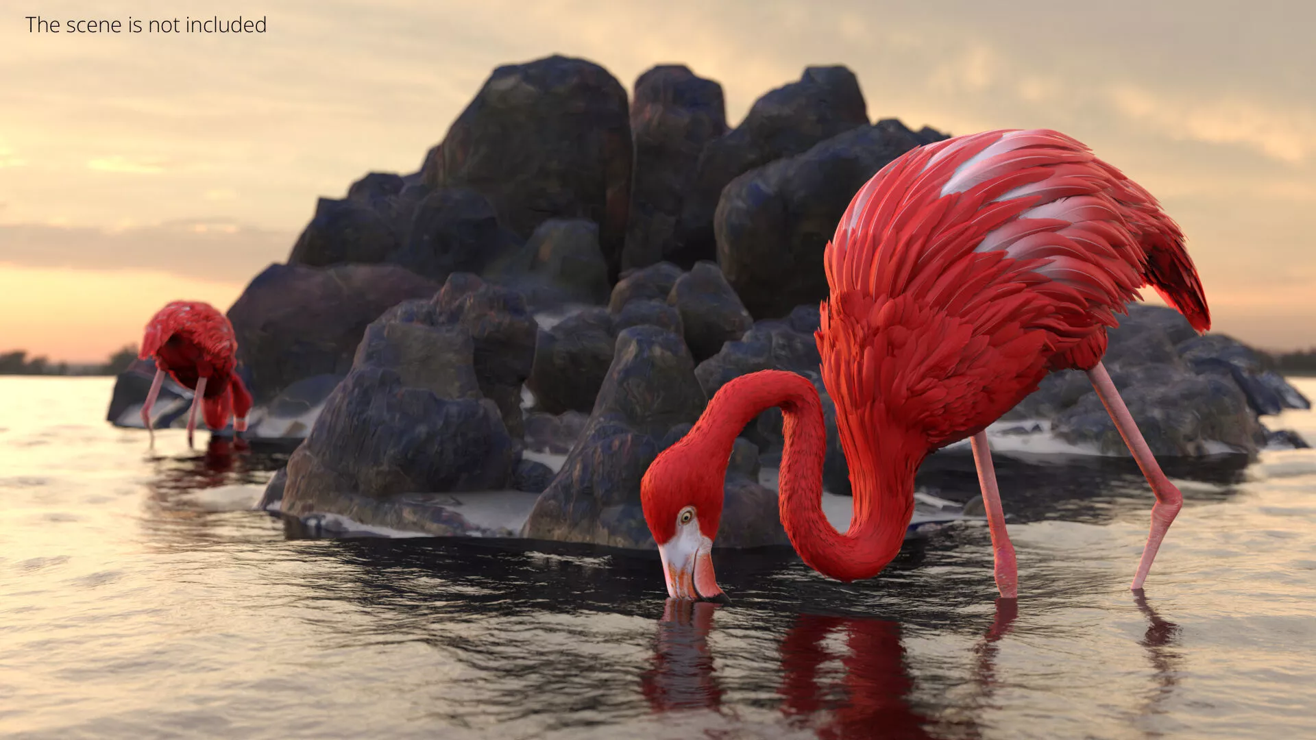 Exotic Bird Red Flamingo Rigged 3D model