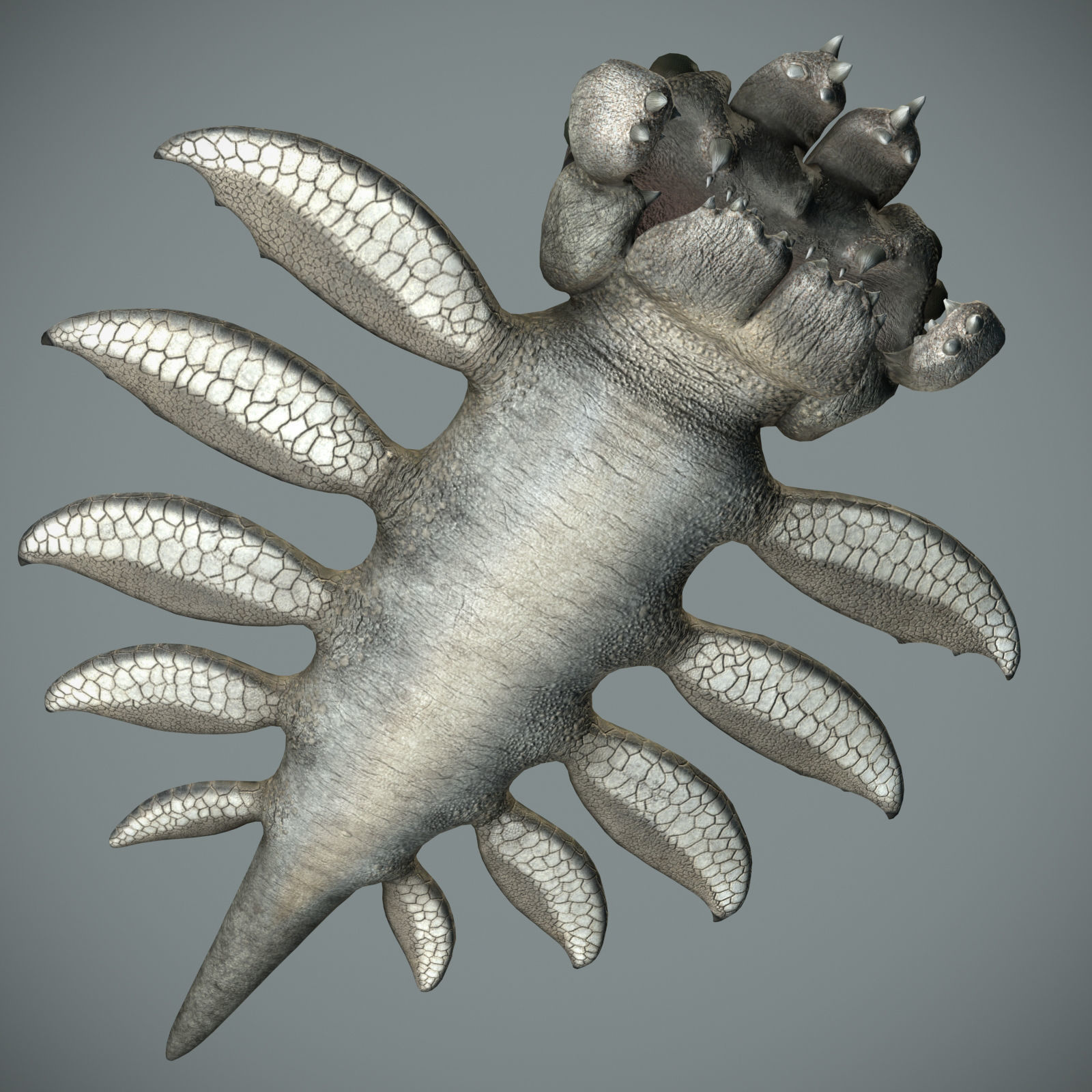 Sea monster Low-poly 3D model_43