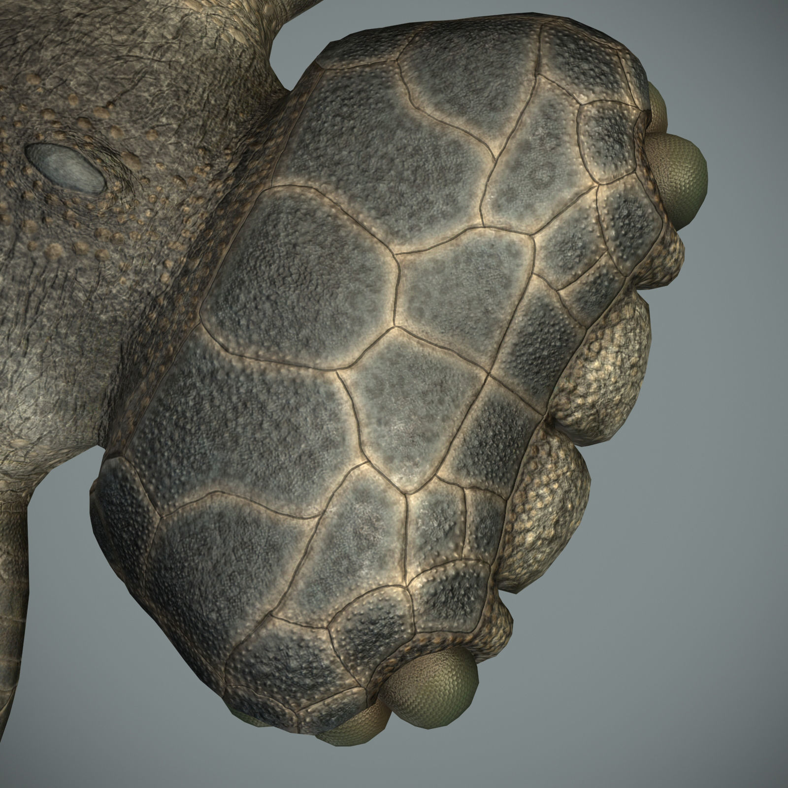 Sea monster Low-poly 3D model_25