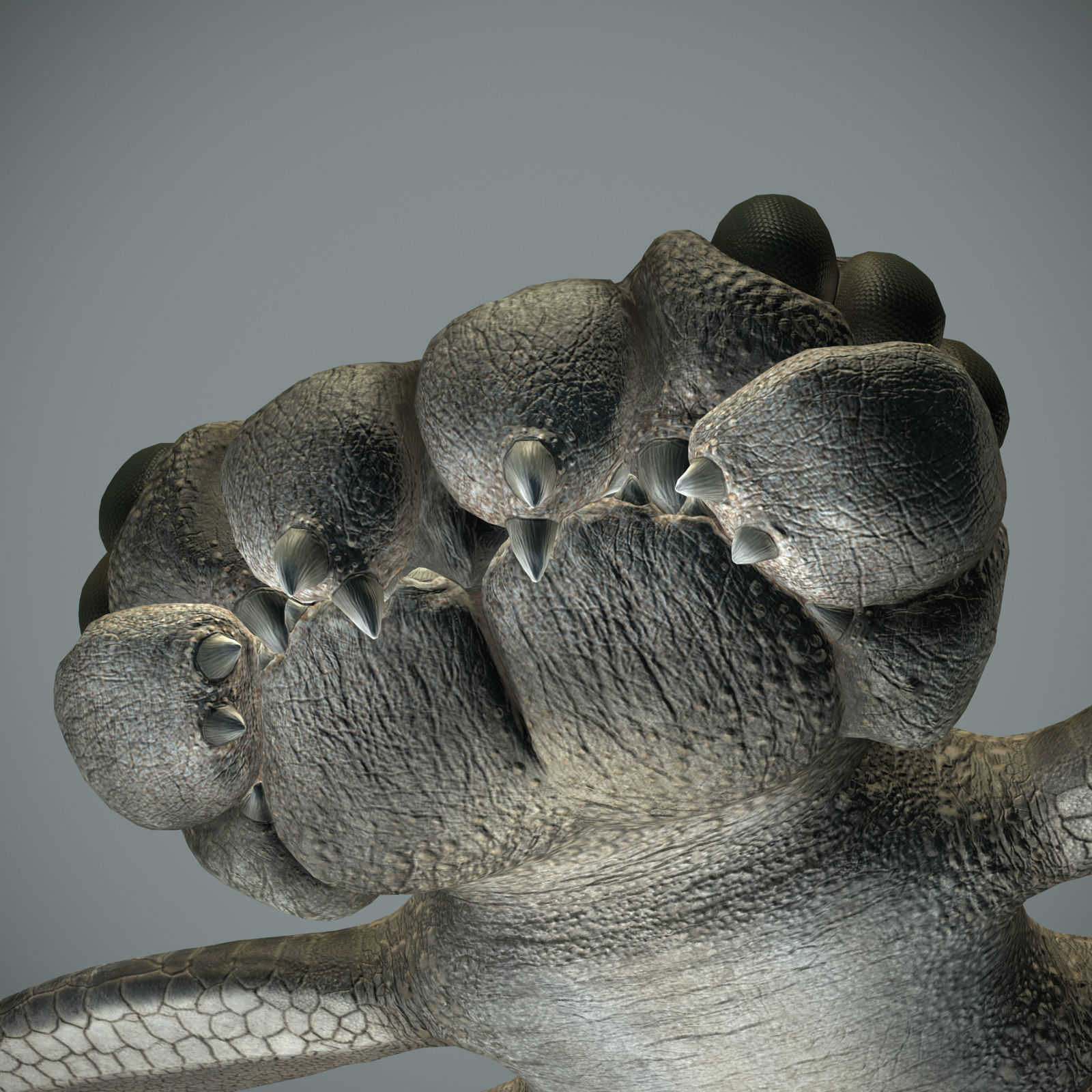 Sea monster Low-poly 3D model_7