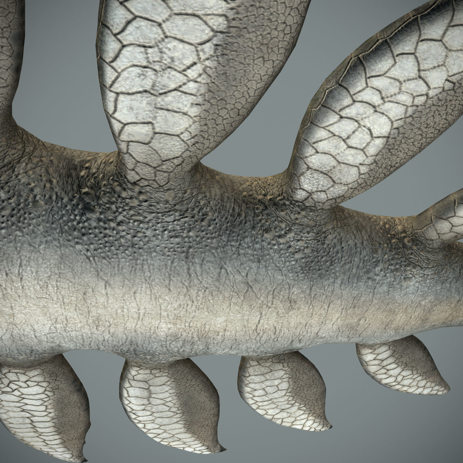 Sea monster Low-poly 3D model_23