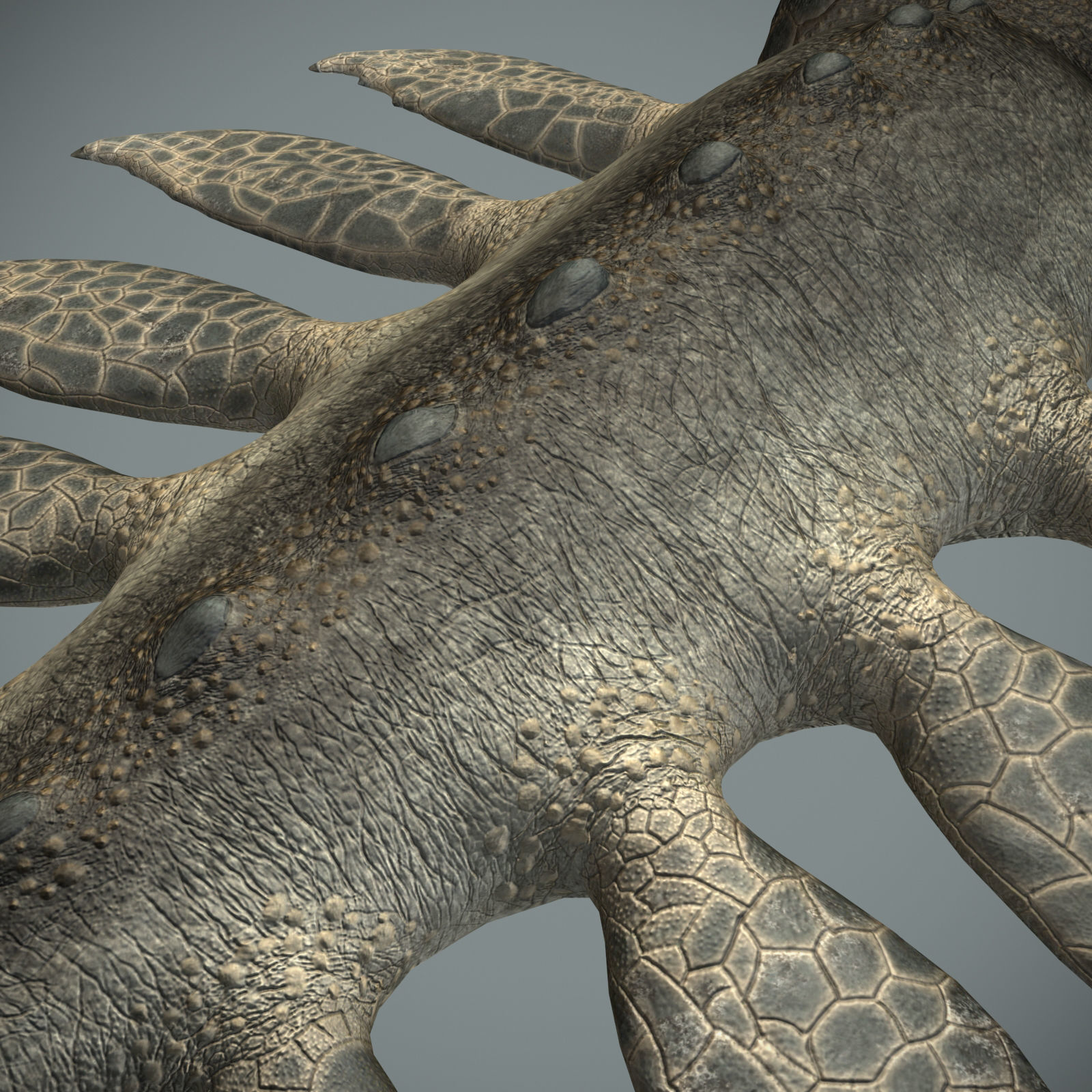 Sea monster Low-poly 3D model_19