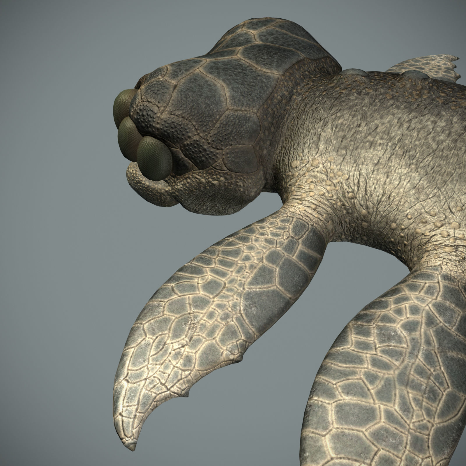 Sea monster Low-poly 3D model_20