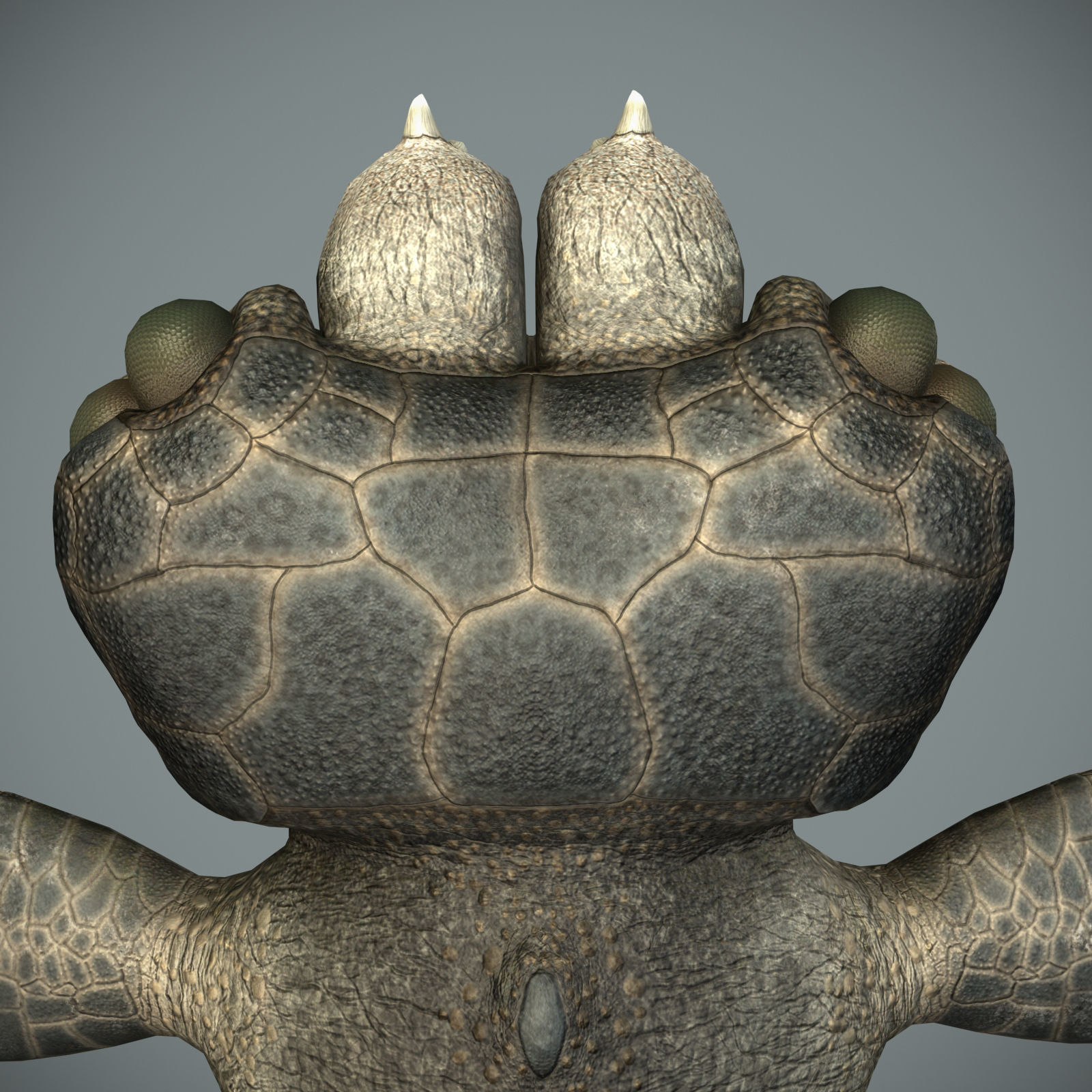 Sea monster Low-poly 3D model_36