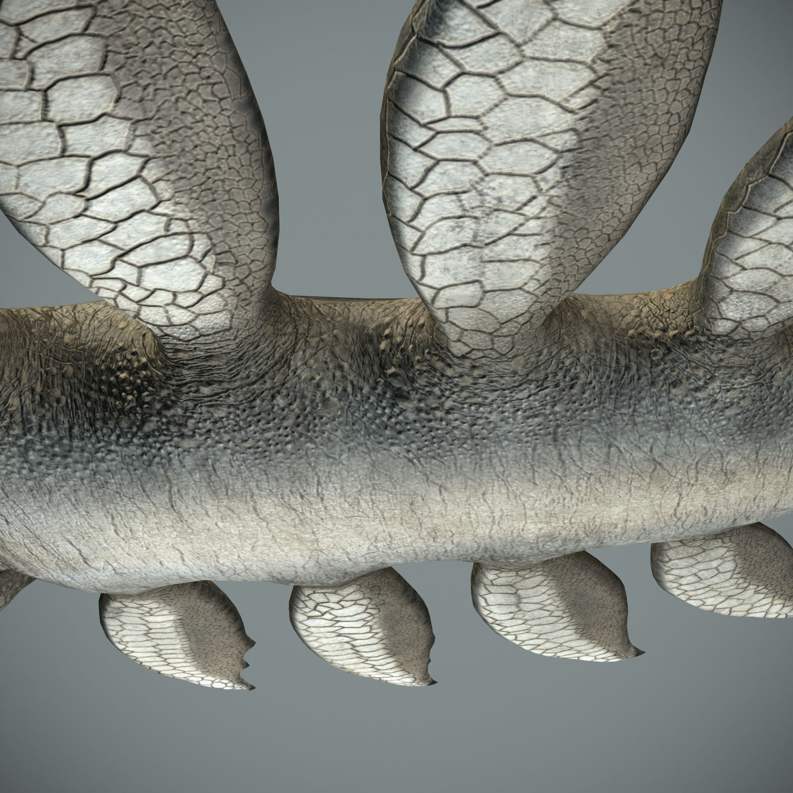 Sea monster Low-poly 3D model_17