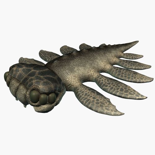 Sea monster Low-poly 3D model