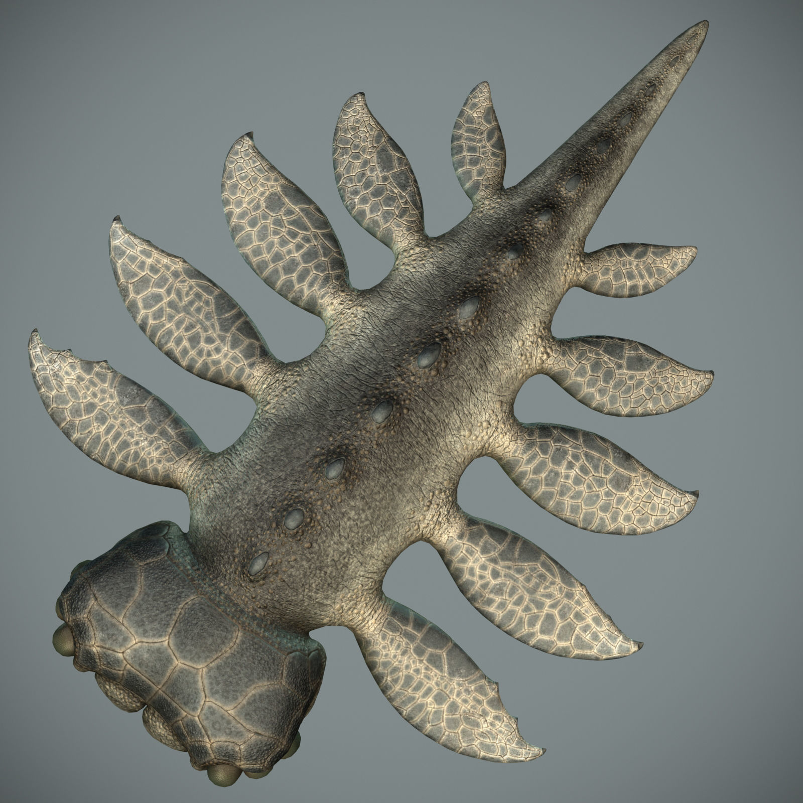 Sea monster Low-poly 3D model_1