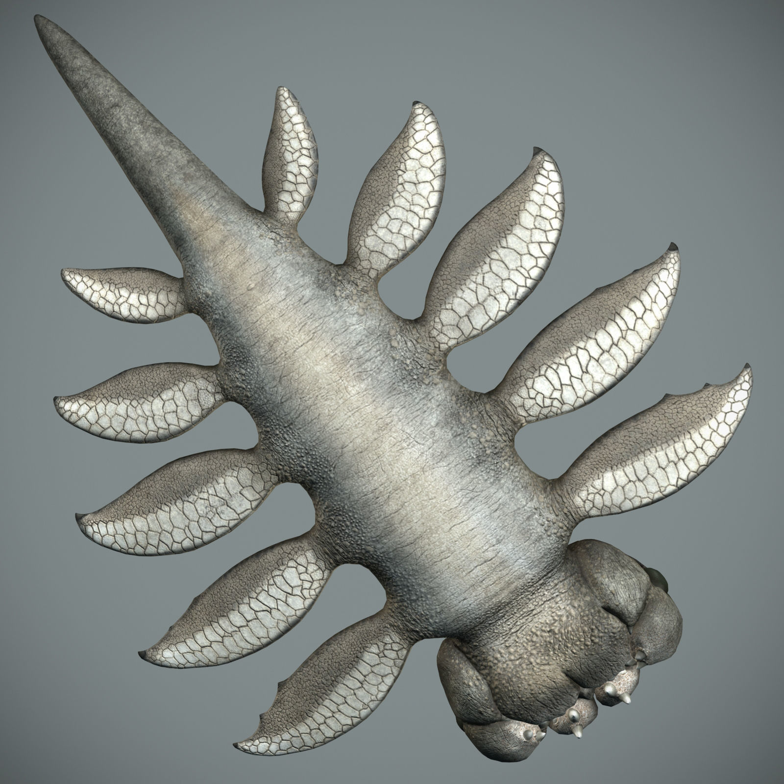 Sea monster Low-poly 3D model_4